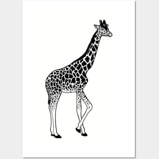 Giraffe Posters and Art
